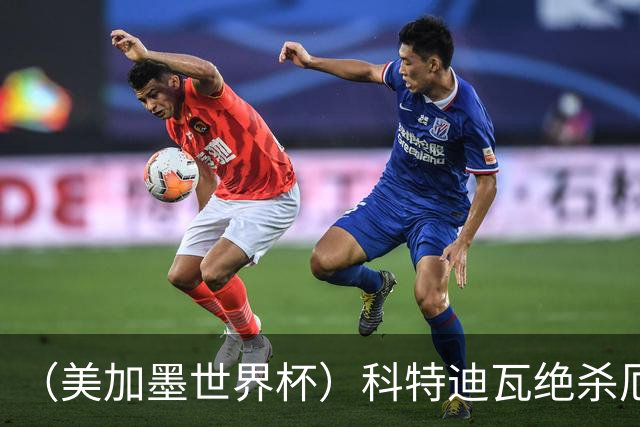 （美加墨世界杯）科特迪瓦绝杀厄瓜多尔 瑞典5:1大胜突尼斯